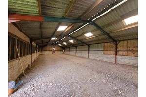 Photo 9- click for photo gallery